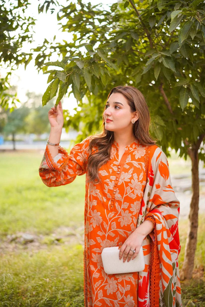 Aneela,s